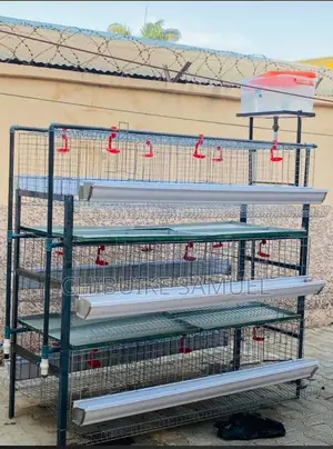 Battery Poultry Cage
