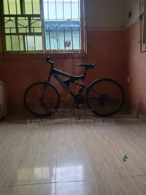Bicycle With Break Problem