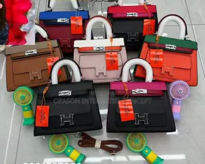 Hermes Bag With Hand Fan Available for Sale