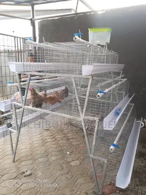 Hot Galvanized Battery Cage for Layers