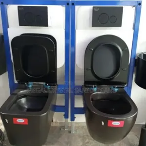 Executive Set Wall Hung WC