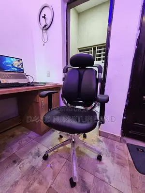 Exquisite Kidney Office Chair