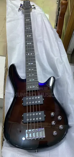 Wellsound 5-String Passive Electric Bass Guitar.