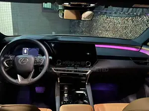 Lexus RX 2023 Gray