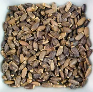 Milk Thistle Seed (250g)