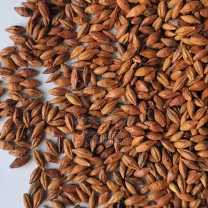 Fried Roasted Barley Tea 250grams