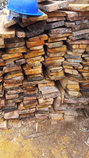 Coral Wooden Plywoods