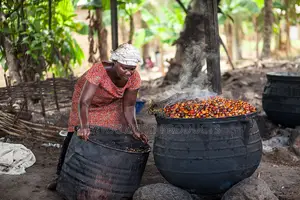 Fresh Unadulterated Palm Oil 25 Litres