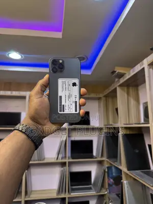 Apple iPhone 12 Pro Max 128 GB Gray