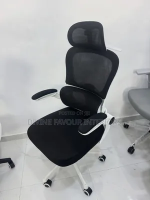 Electric Adjustable Desk With Egornomic Office Chair Lumbar Support
