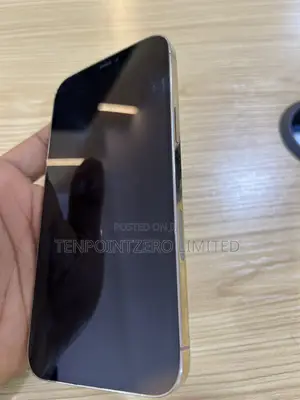 Apple iPhone 12 Pro Max 128 GB Gold