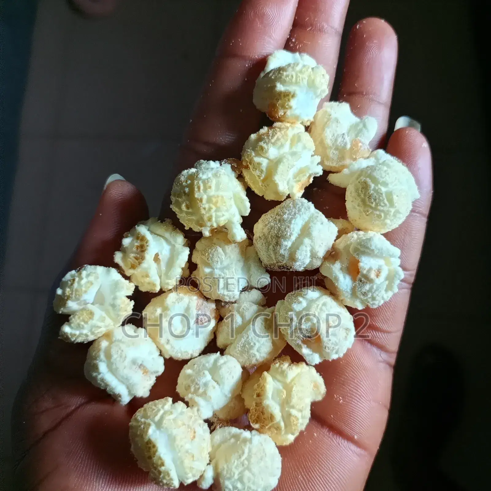 Popcorn Kernels ( Mushroom)