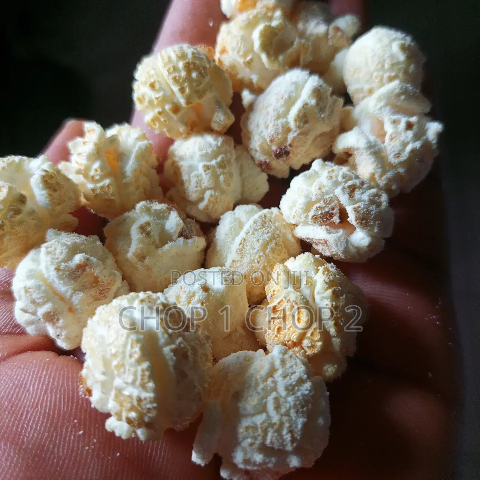 Popcorn Kernels ( Mushroom)