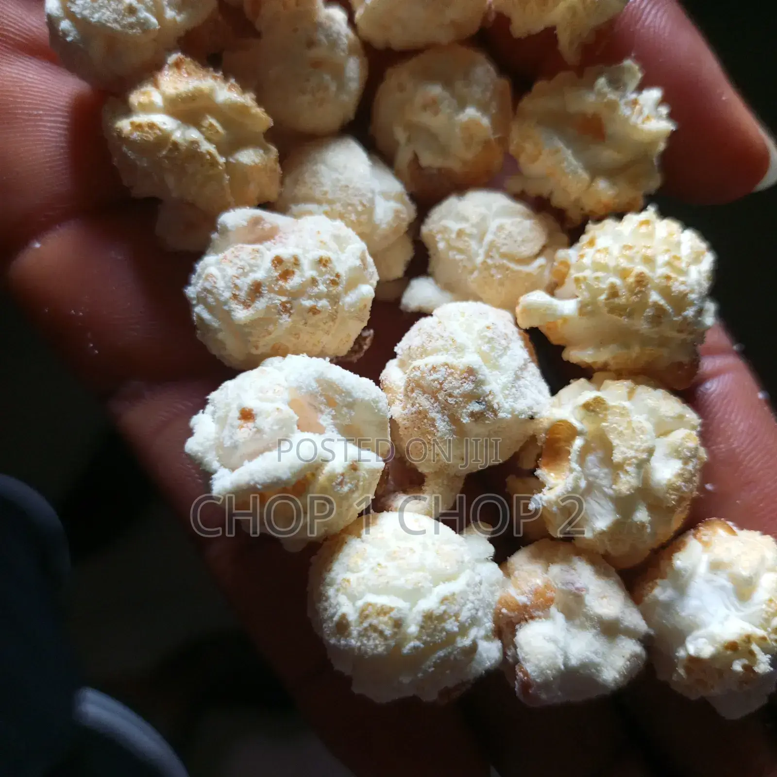 Popcorn Kernels ( Mushroom)