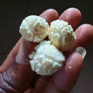 Popcorn Kernels ( Mushroom)