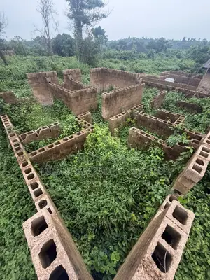 Half Plot With Uncompleted Building for Sale in Ayegun, Ibadan