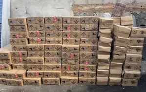 100w Wakatek All in One Street Light