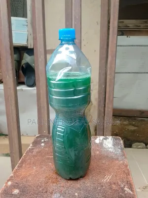 Dishwashing Liquid