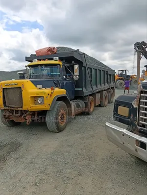 Premium Granite Iron Black Chippings (All Sizes Available)