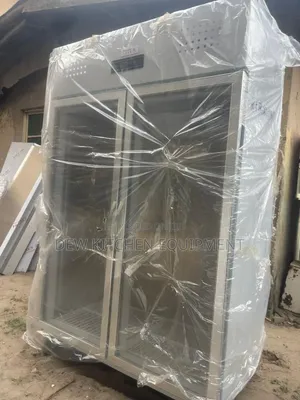 2Doors Stainless Freezer