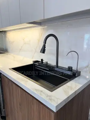Professional Plumber