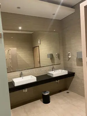 Toilet Mirrors Installation
