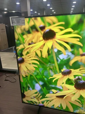 TV Screen Repair