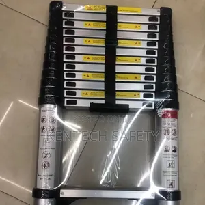 Telescope Extension Ladders