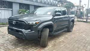 Toyota Tacoma 2024 Gray