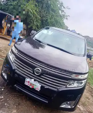 Nissan Elgrand 2011 Brown