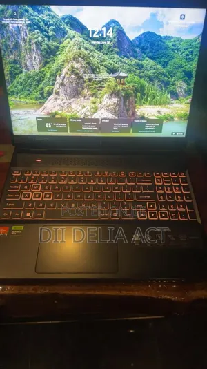 Laptop Acer Nitro 16 1GB AMD Ryzen 9 SSD 1T