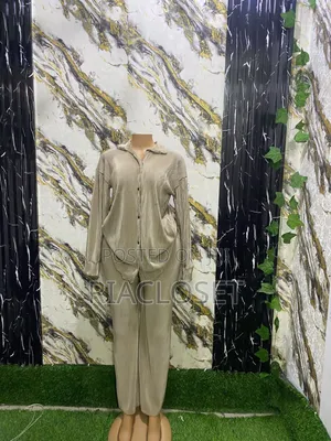 Two Piece Pleated Trouser and Shirt Set