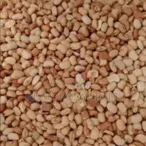 Destoned Oloyin Beans