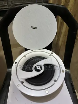 TUNDRA v-660 Ceiling Speaker