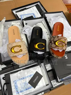Coach Platform Slide