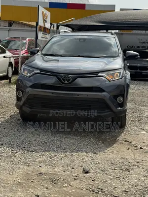 Toyota RAV4 XLE AWD (2.5L 4cyl 6A) 2017 Gray