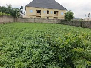 Certificate of Occupancy
