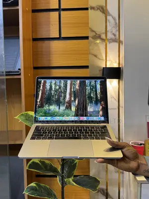 Laptop Apple MacBook Pro 2018 16GB Intel Core i5 SSD 256GB