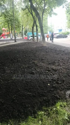 Black Soil/Loamy Soil