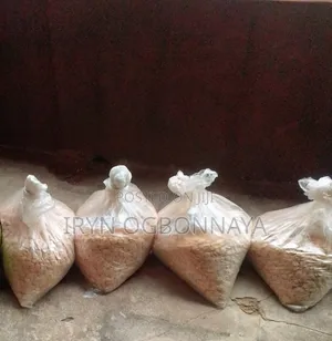 Hand Peeled Egusi in Rubber Painter.