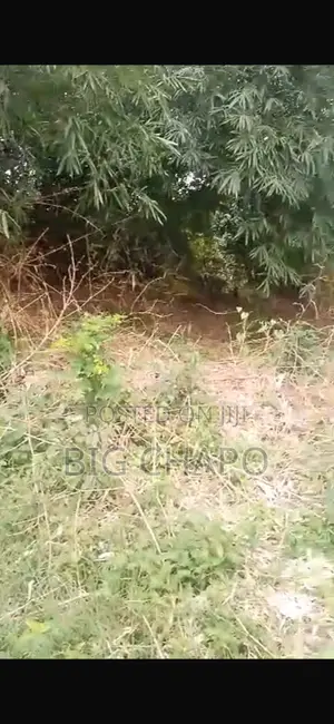 Standard Plot of Land in a Good Area