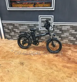 20 Inches Fat Tire Electric Bike/E-Bike (Guangmi)