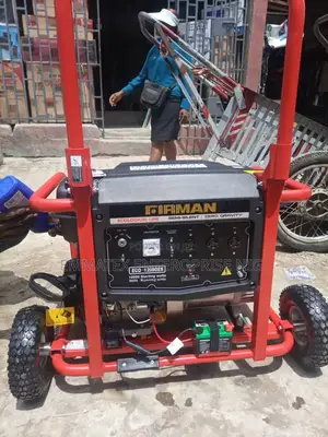 Petrol Eco 12990es Firman Generator Copper Coil