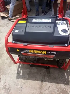 Petrol Eco 12990es Firman Generator Copper Coil