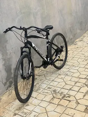 Schwinn Bicycle