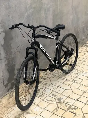 Schwinn Bicycle