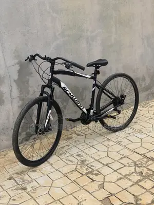 Schwinn Bicycle