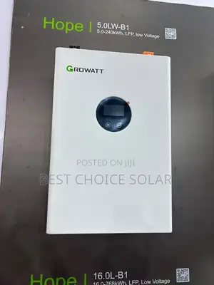 5kwh 51.2v Growatt Lithium Ion Battery