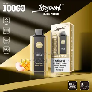 Disposable Vape (10,000)puffs With Different Flavors