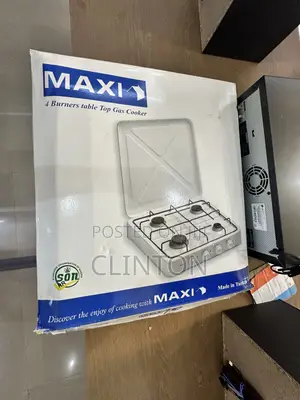 Electric Gas Cooker